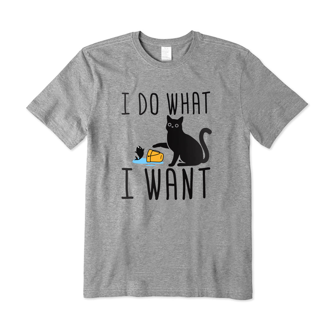 I Do What I Want T-Shirt